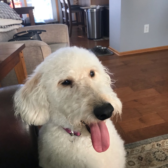 Meet your Posher, Kim - Picture 4 of 4